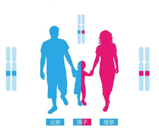 可以直接预约香港化验所HKLAB做产前亲子鉴定吗？