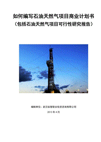 2013年优秀石油天然气项目商业计划书(可行性研究报告).doc