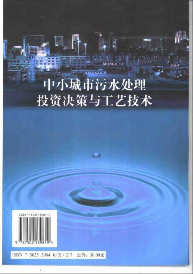 中小城市污水处理投资决策与工艺技术.pdf_第2页