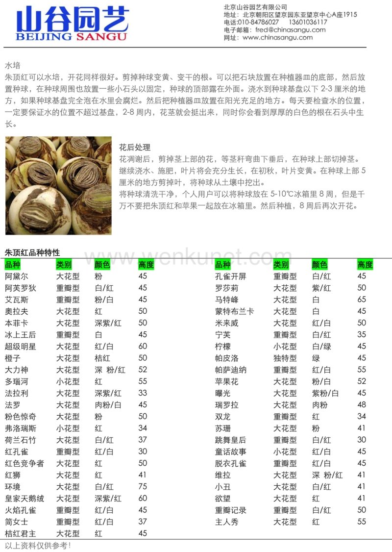 朱顶红种植方法.pdf_第2页