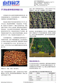 5℃郁金香种球的种植方法.pdf
