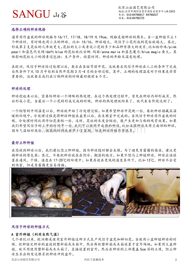 盆栽风信子种植方法.pdf_第2页