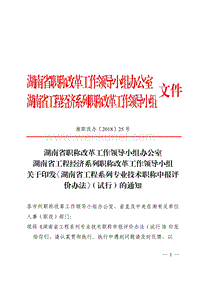 湖南省职称改革工作领导小组办公室 文件 .pdf