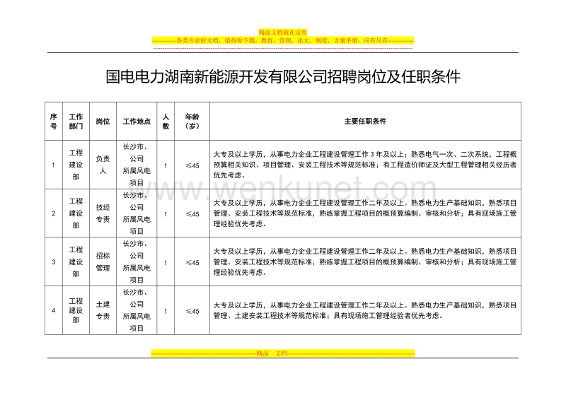 国电电力湖南新能源开发有限公司招聘岗位及任职条件.doc_第1页
