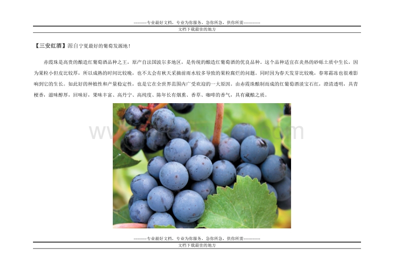 集食惠产品推荐：三安红酒.doc_第1页