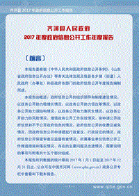 齐河县人民政府 2017 年度政府信息公开工作年度报告 .pdf