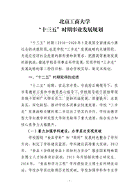 北京工商大学 “十三五”时期事业发展规划 .pdf