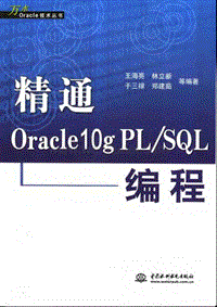 精通Oracle10编程.pdf