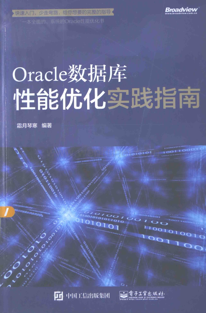 Oracle数据库性能优化实践指南.pdf_第1页