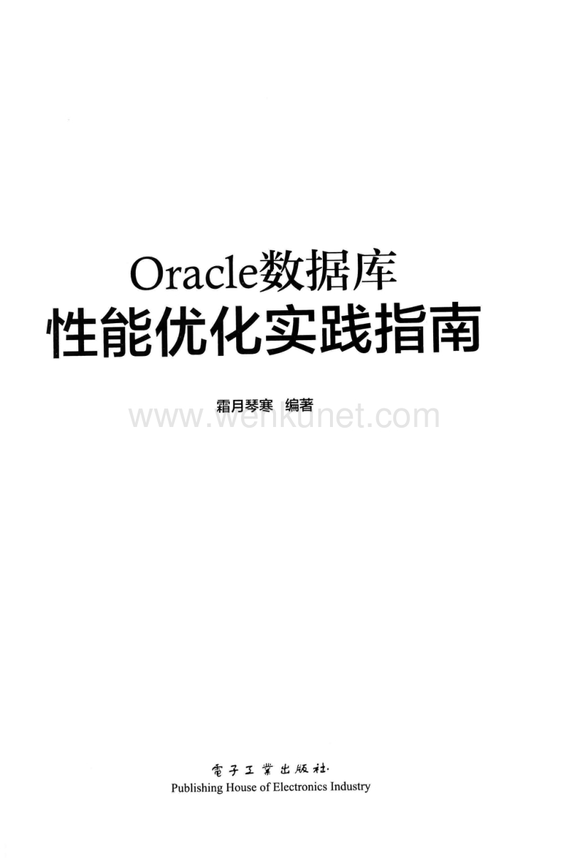 Oracle数据库性能优化实践指南.pdf_第2页