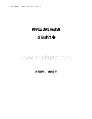 青铜三通投资建设项目建议书(立项申请).docx