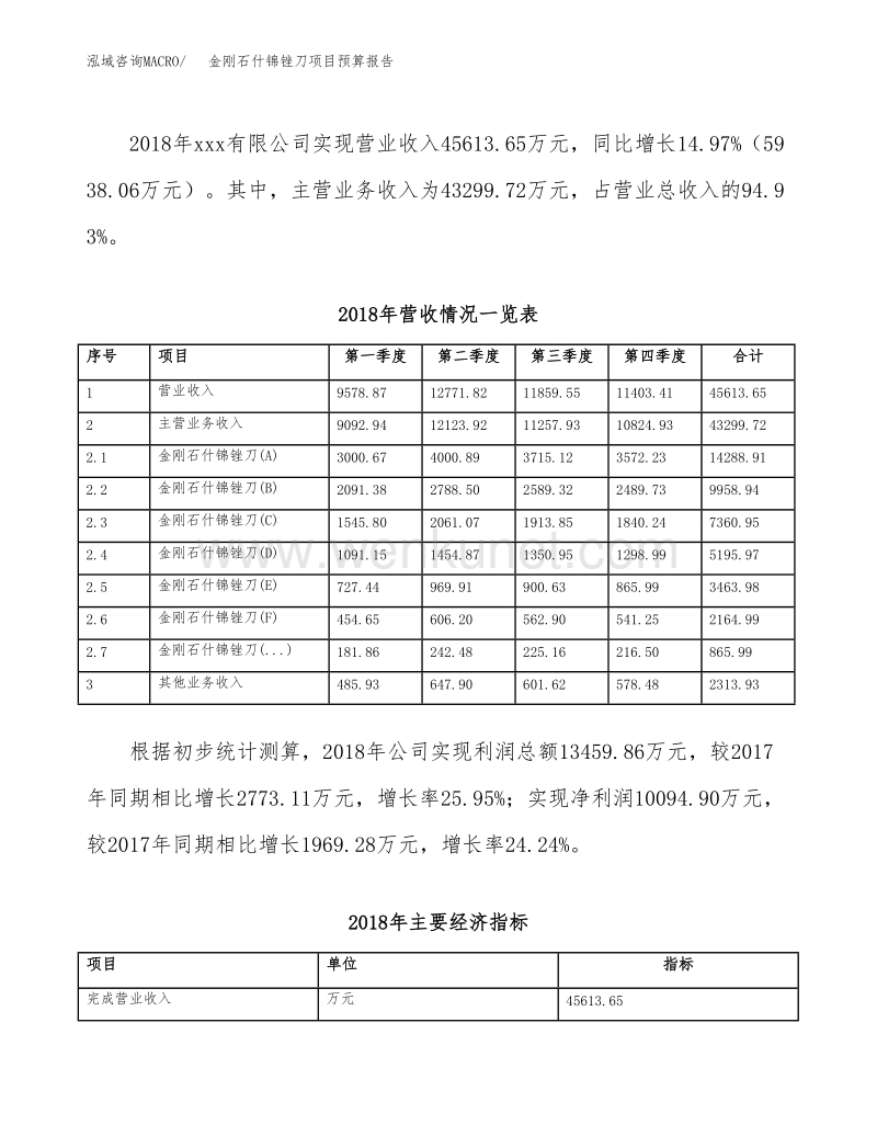 关于建设金刚石什锦锉刀项目预算报告.docx_第3页