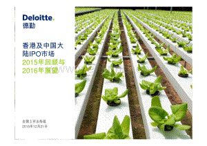 deloitte-cn-auidit-aa-ipo-2015-review-2016-outlook-zh-151229.pdf