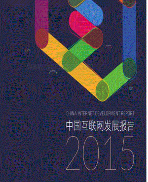 2015中国互联网发展报告 .pdf
