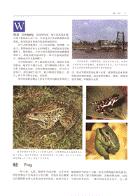 世界百科全书国际中文版16.pdf