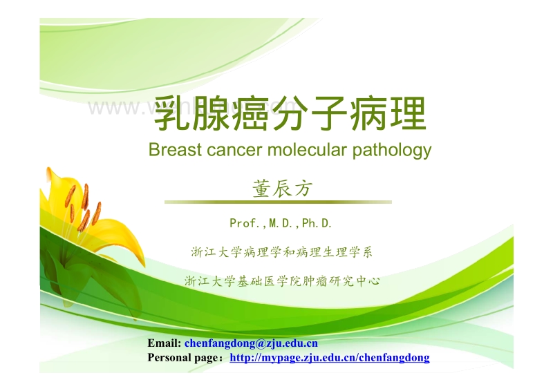 乳腺癌分子病理 -Chenfang FIRST TIME10-31-17 [Compatibility Mode].pdf_第1页