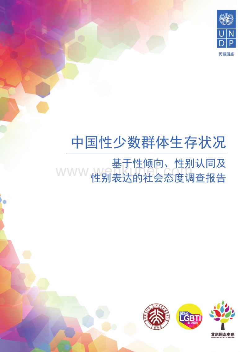 联合国：中国性少数群体生存状况调查报告.pdf_第1页