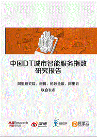 《中国DT城市智能服务指数研究报告》摘要.pdf