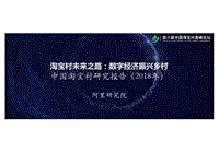 《中国淘宝村研究报告（2018年）》.pdf