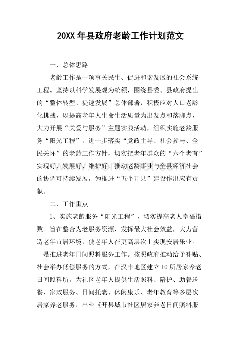 20XX年县政府老龄工作计划范文.docx_第1页