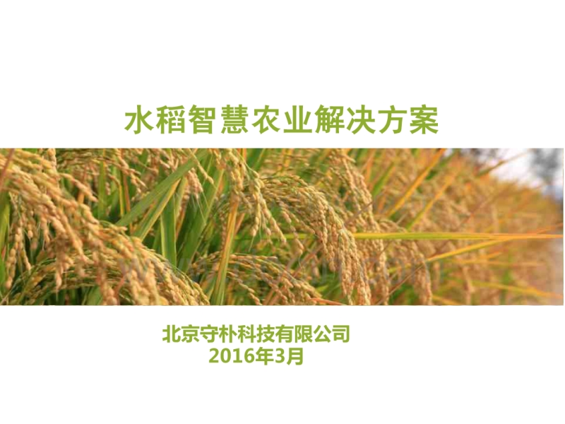 水稻项目智慧农业解决方案.pdf_第1页