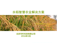 水稻项目智慧农业解决方案.pdf