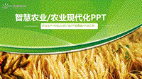 智慧农业农业现代化课件ppt模板.pdf