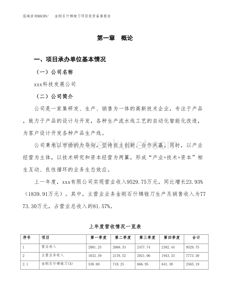 金刚石什锦锉刀项目投资备案报告.docx_第2页