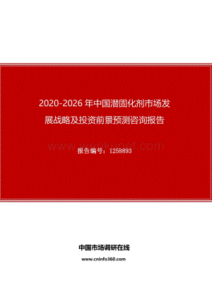 2020年中国潜固化剂市场发展战略及投资前景预测咨询报告.docx