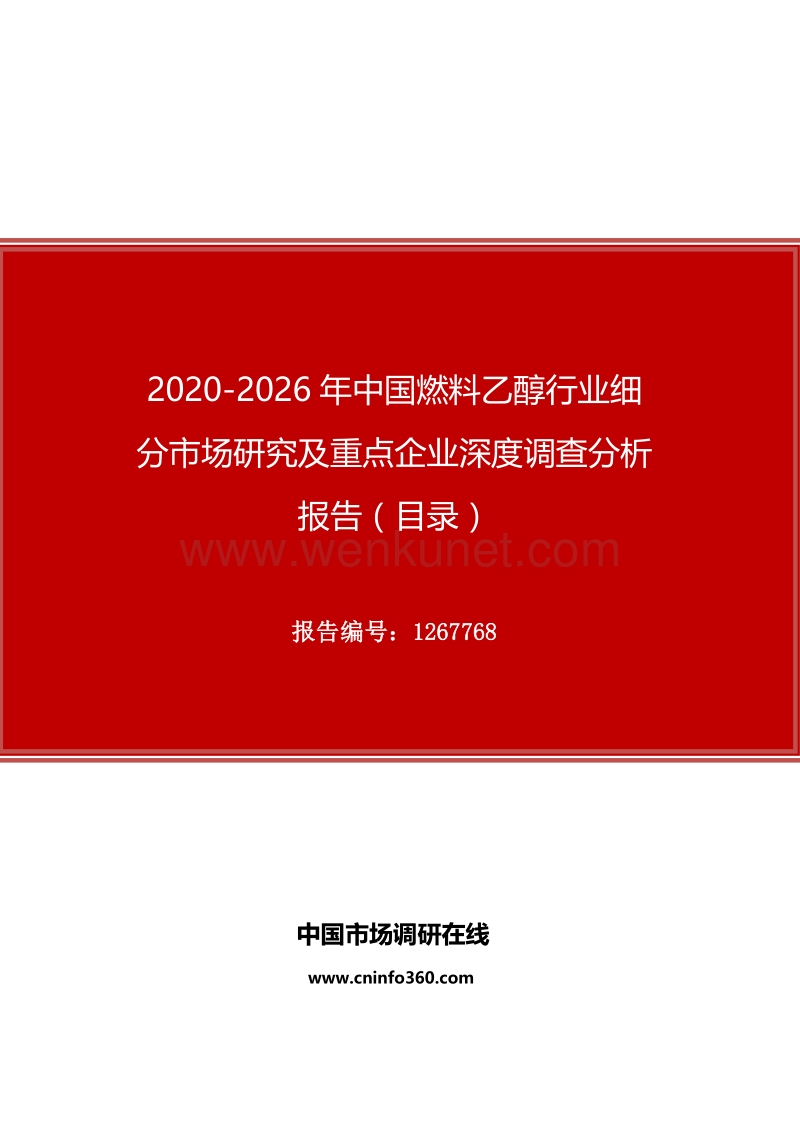 2020年中国燃料乙醇行业细分市场研究及重点企业深度调查分析报告.docx_第1页