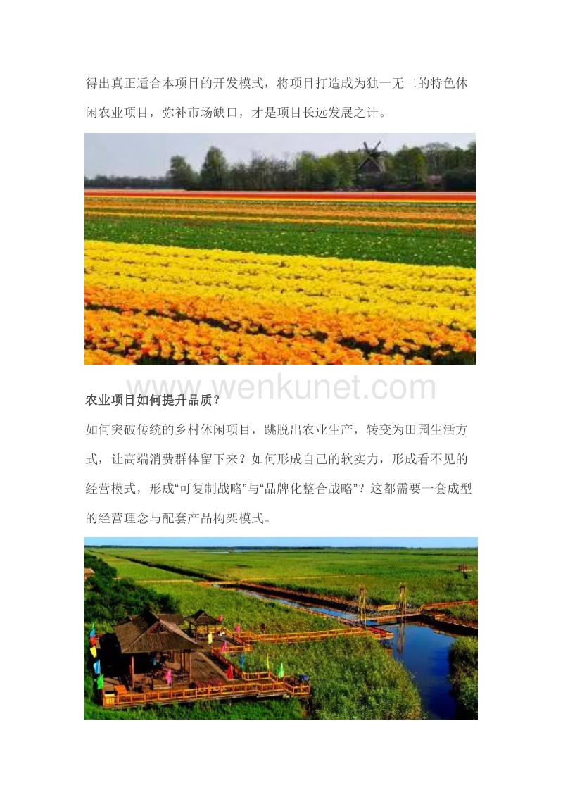 农业规划与休闲旅游完美融合.doc_第3页
