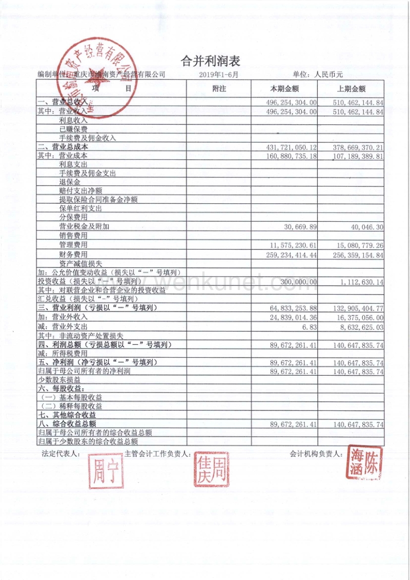 重庆市渝南资产经营有限公司2019年1-6月财务报告.pdf_第3页