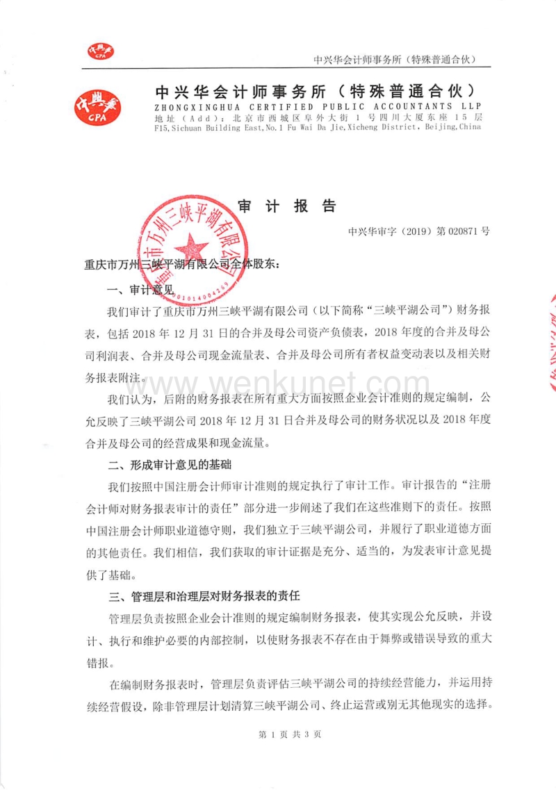 重庆市万州三峡平湖有限公司公司债券2018年年度财务报告及附注.pdf_第2页