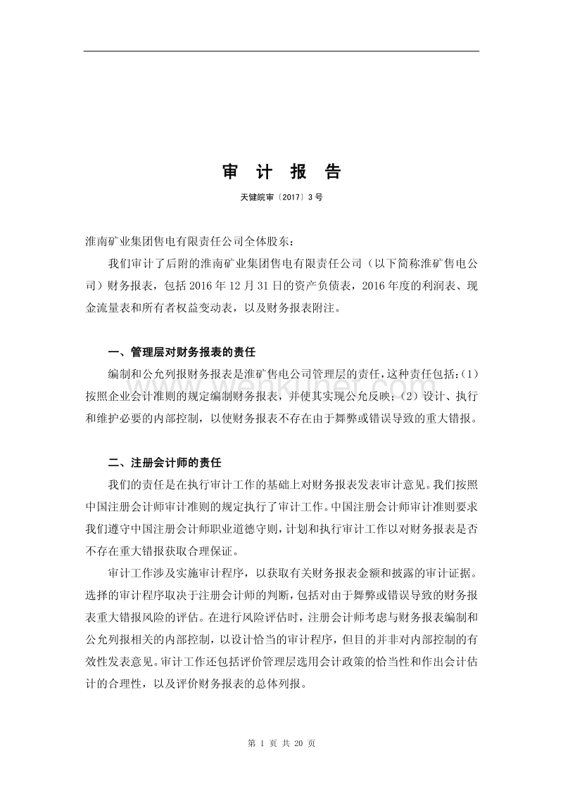 皖江物流：淮南矿业集团售电有限责任公司审计报告.pdf_第2页