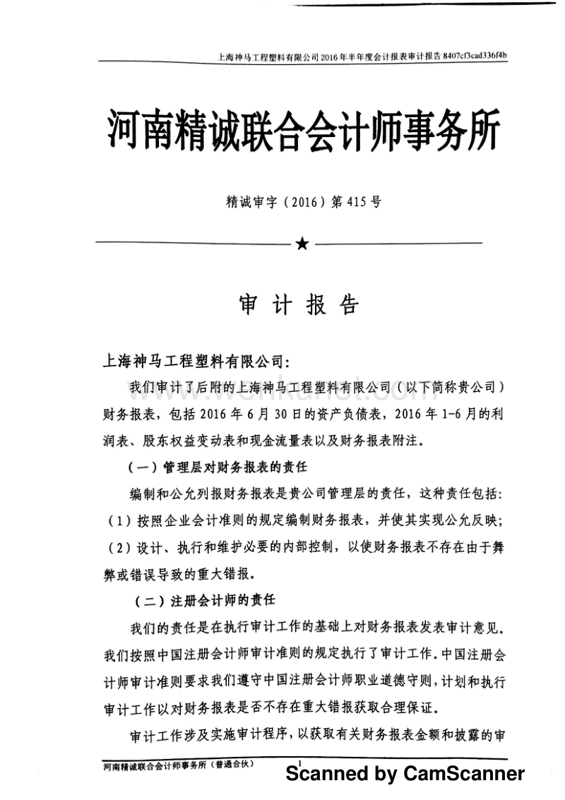 神马股份：上海神马工程塑料有限公司审计报告.pdf_第1页
