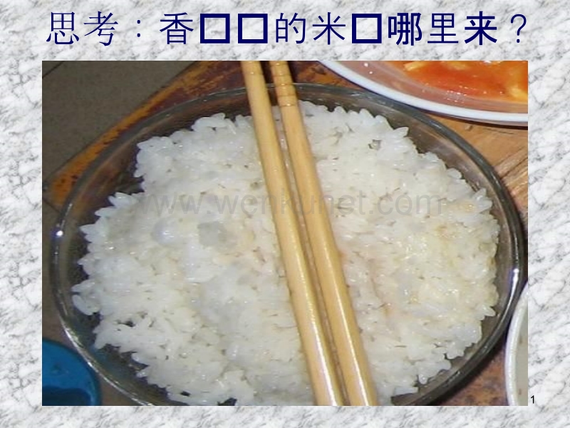 水稻的生长过程 (2)ppt课件.ppt_第1页