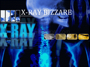 【国外精品】X-RAY BIZZAREppt课件.ppt