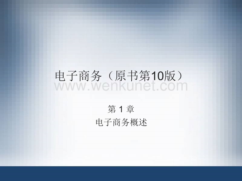 电子商务培训中文版 ch01.ppt_第2页