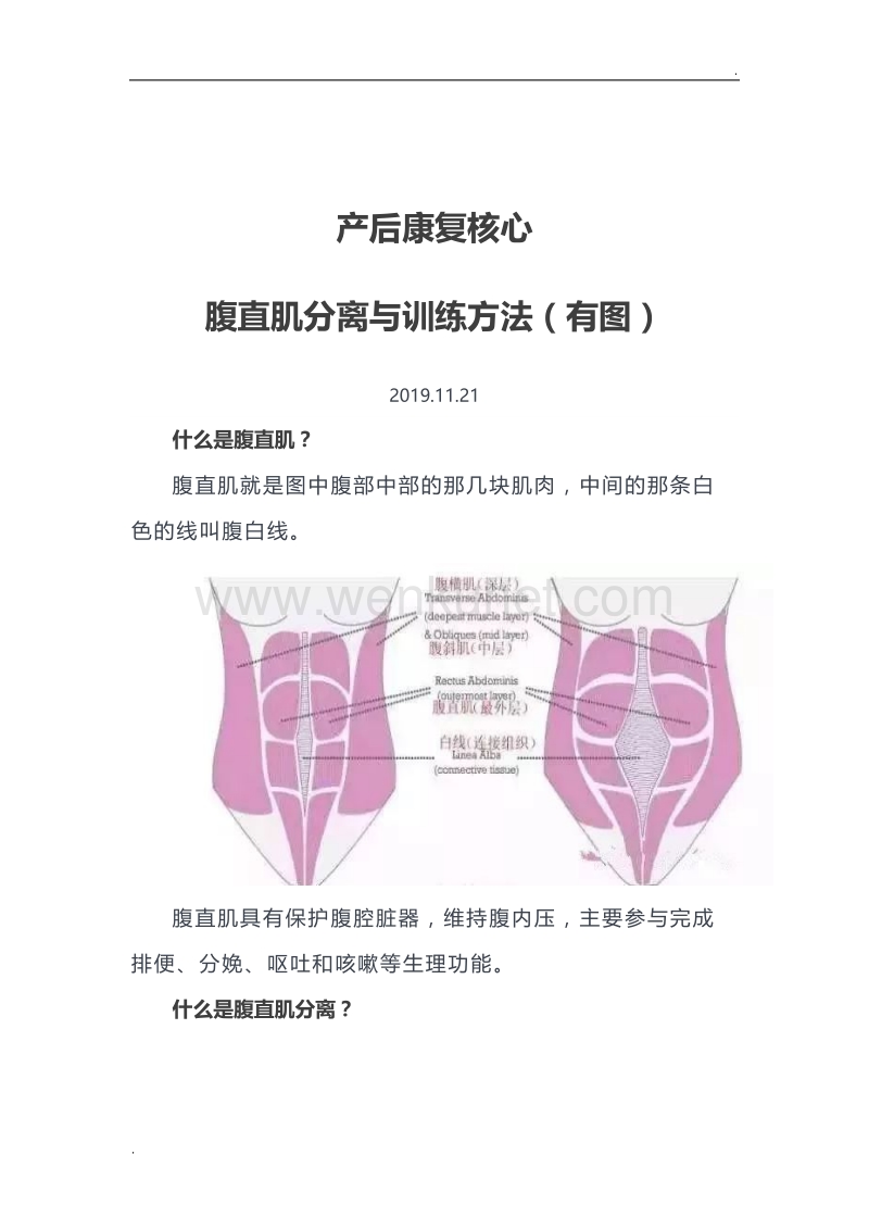 产后康复核心—腹直肌分离与训练方法(有图).docx_第1页
