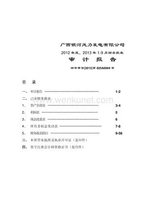 天成控股：广西银河风力发电有限公司审计报告.pdf