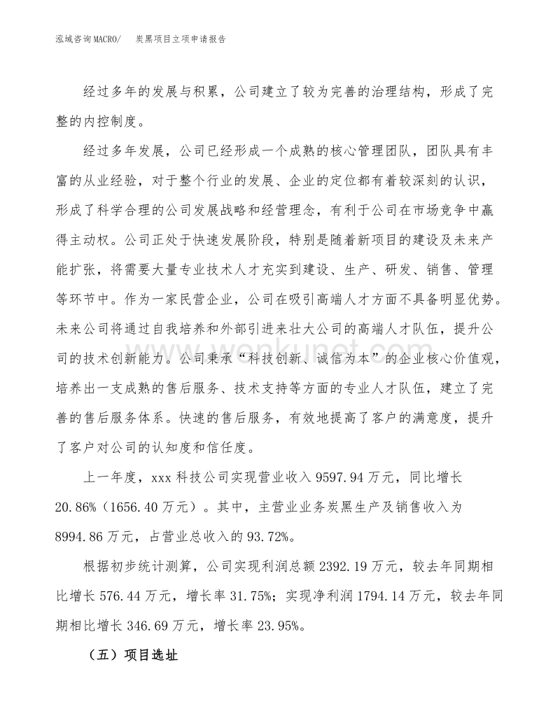 炭黑项目立项申请报告范文范本 (10).docx_第3页