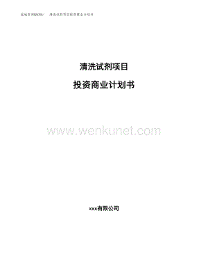 清洗试剂项目投资商业计划书（项目投资分析范本）.docx