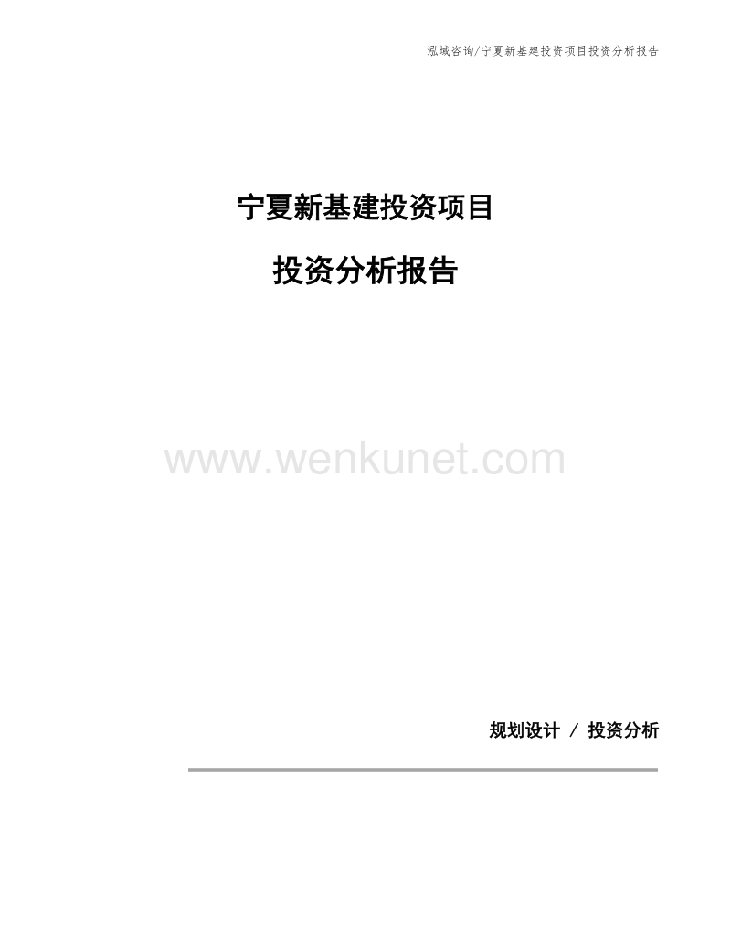 宁夏新基建投资项目投资分析报告.docx_第1页