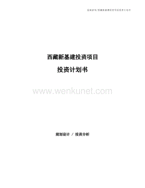 西藏新基建投资项目投资计划书.docx