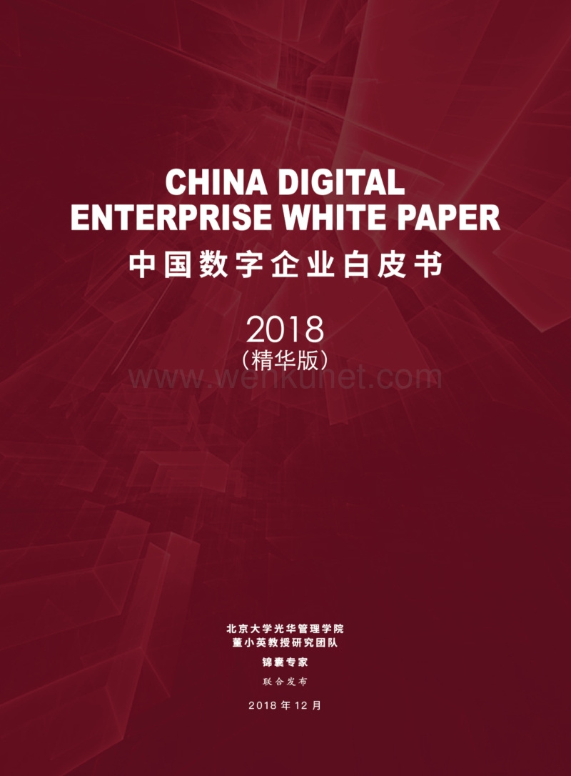2018中国数字企业白皮书（精华版）.pdf_第1页