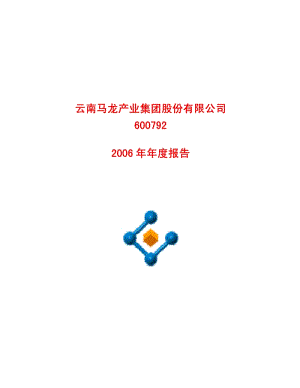 2006-600792-马龙产业：2006年年度报告.PDF