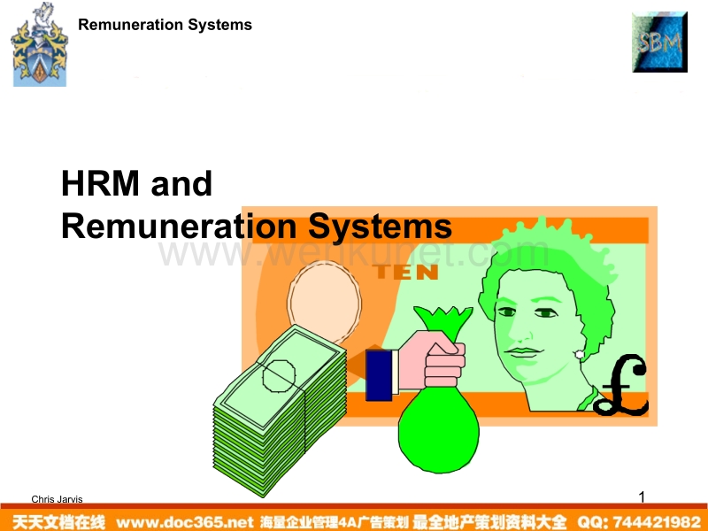 Remuneration Systems(ppt49).ppt_第1页