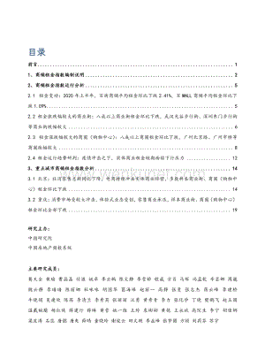 2020年上半年中国商铺租金指数研究报告-中指-202007.pdf