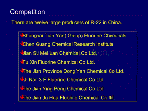 普华永道——List of competitors.ppt