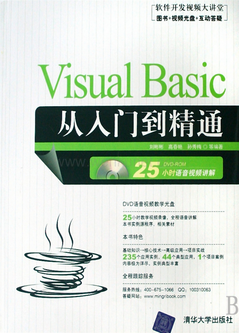 ok 电脑培训教材 Visual Basic从入门到精通.pdf_第1页